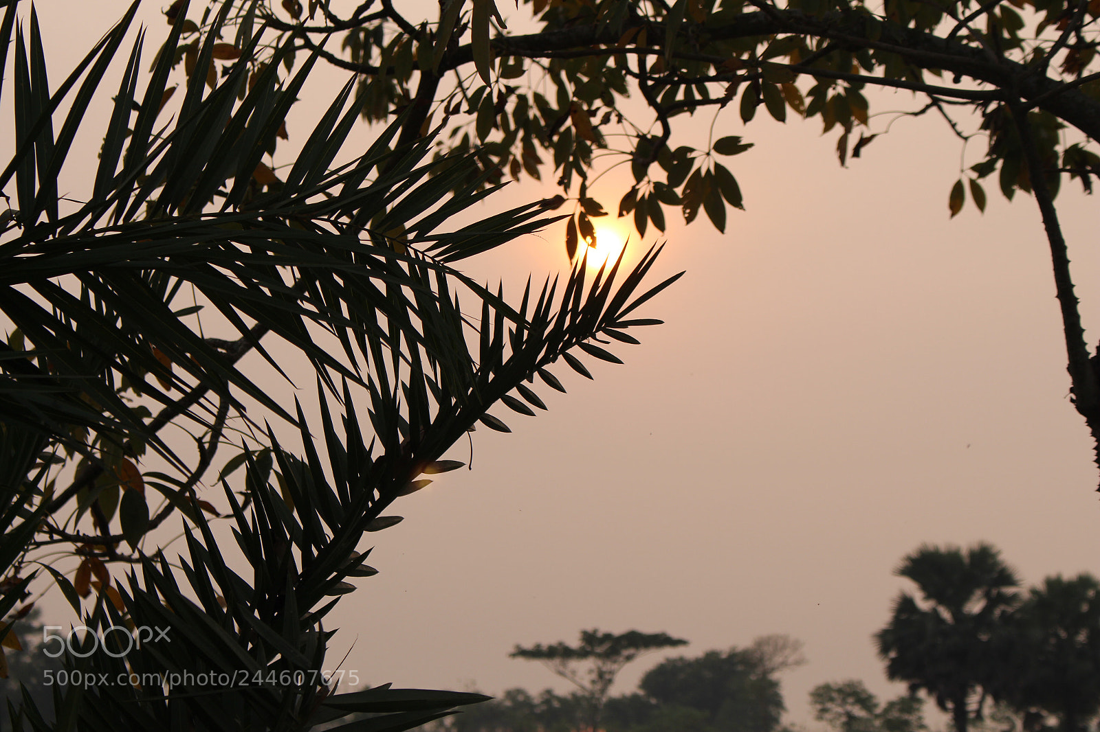 Canon EOS 700D (EOS Rebel T5i / EOS Kiss X7i) sample photo. Life and beauty photography