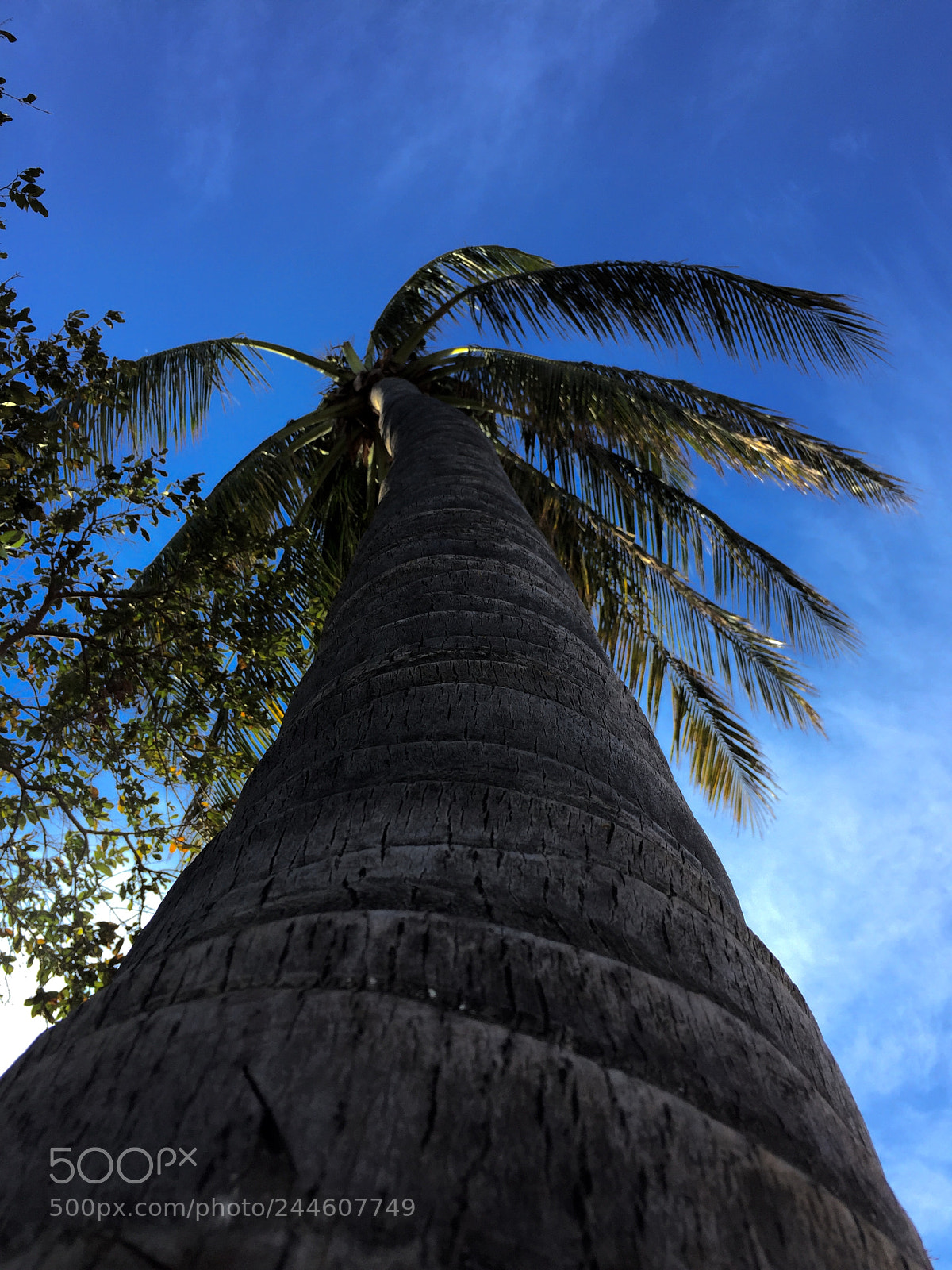 Apple iPhone 6 sample photo. Istmo de tehuantepec photography