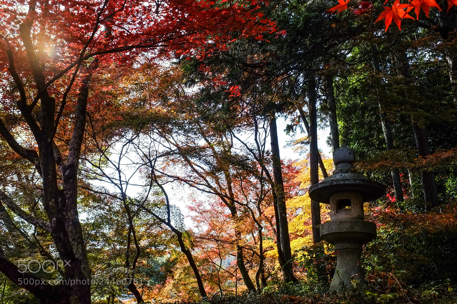 Fujifilm FinePix X100 sample photo. All in the mmind photography