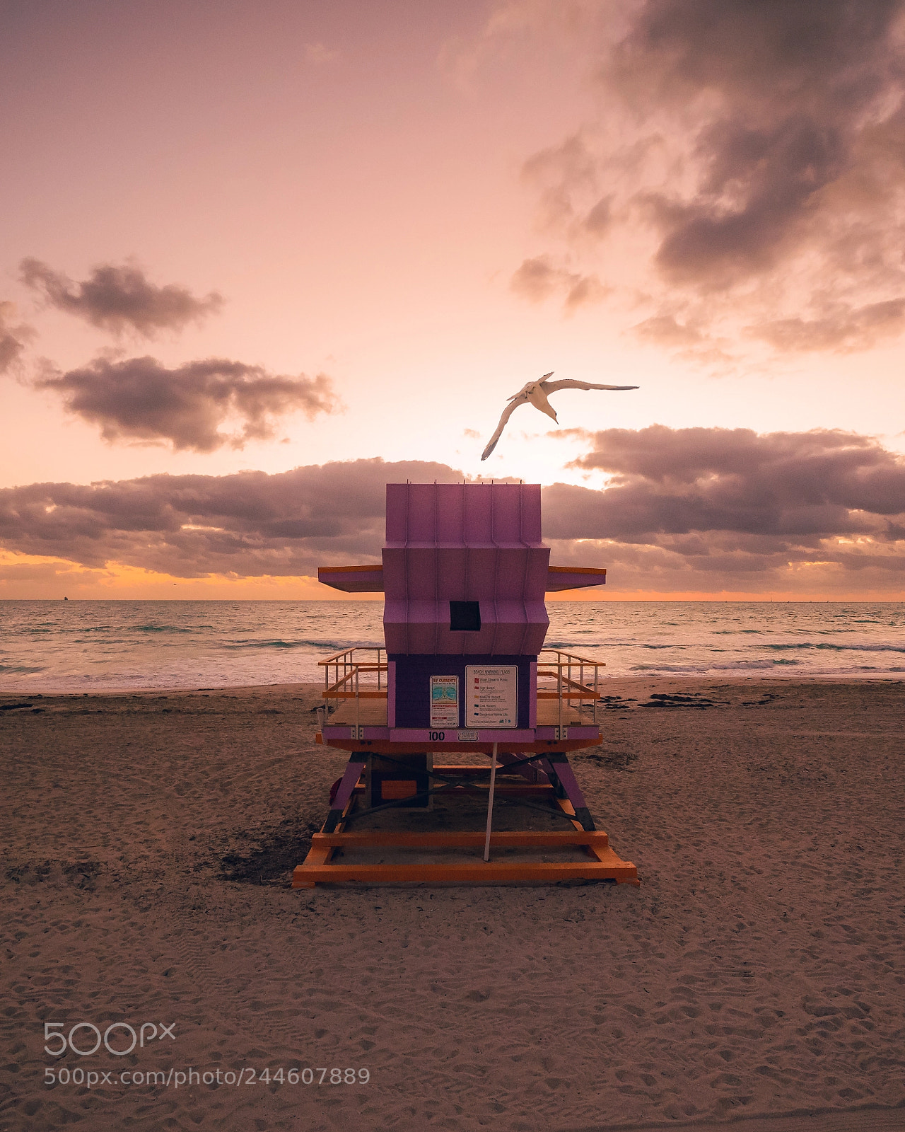 Sony a7R III sample photo. Sobe photography