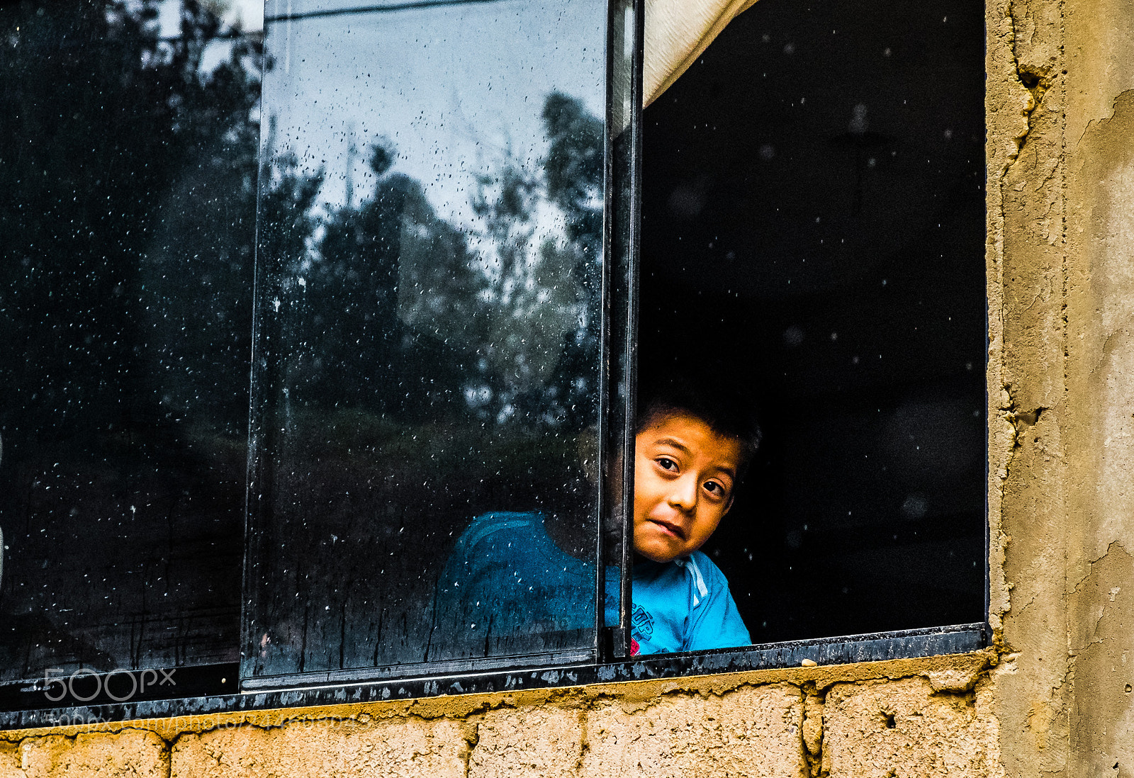 Fujifilm X-E1 sample photo. What's out the window. photography