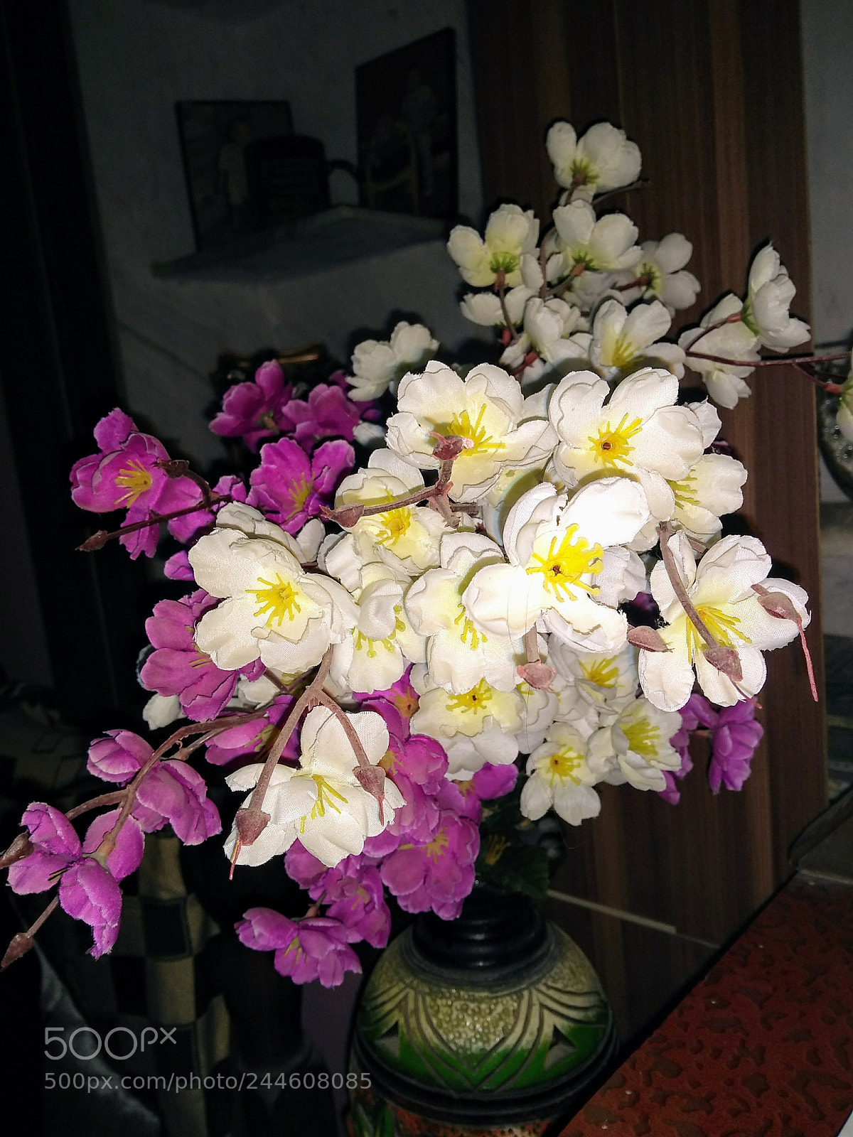 Motorola Moto G (5S) Plus sample photo. Untitled photography