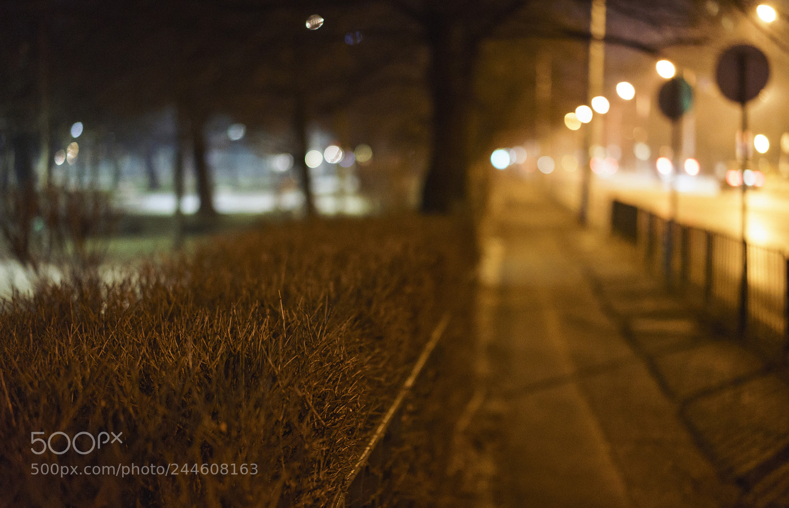Sony a7 II sample photo. Walking in the night photography