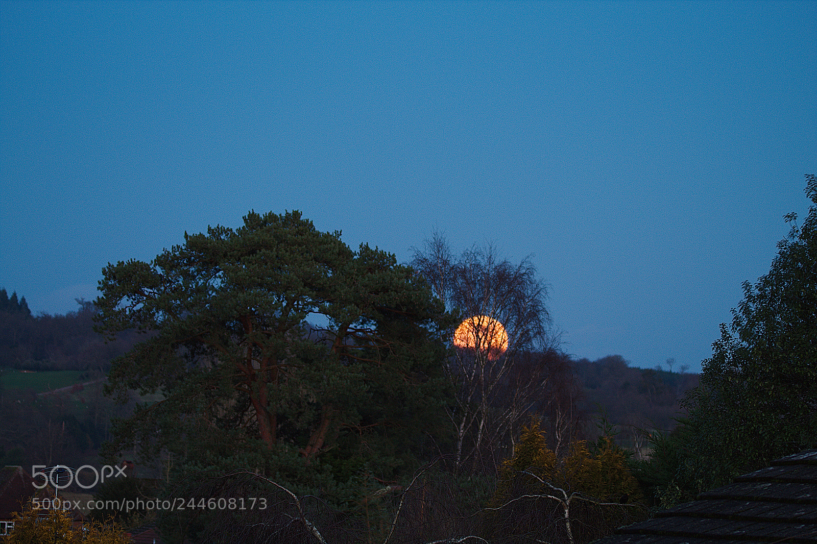 Canon EOS 1300D (EOS Rebel T6 / EOS Kiss X80) sample photo. Blood moonrise 1 photography
