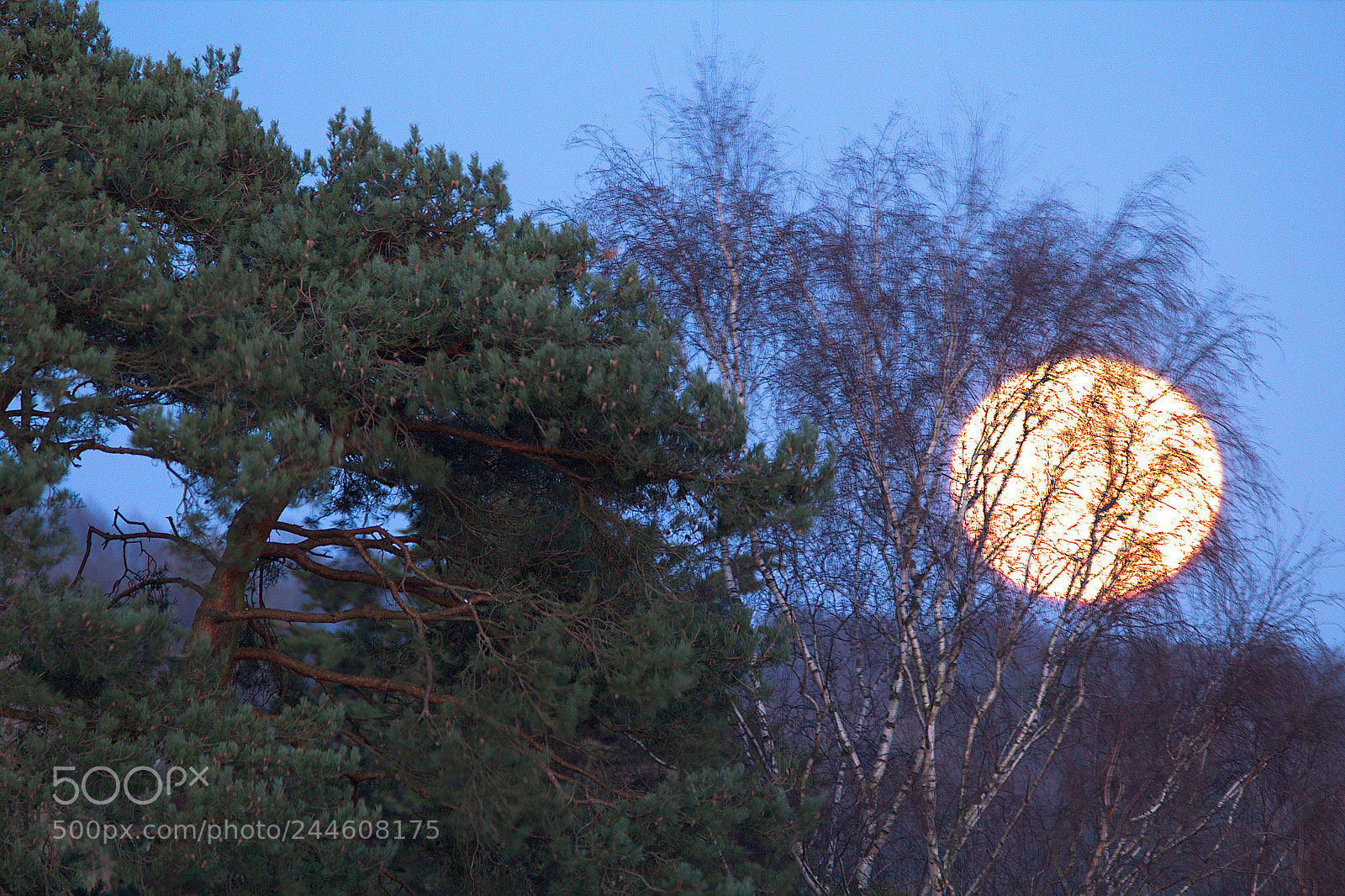 Canon EOS 1300D (EOS Rebel T6 / EOS Kiss X80) sample photo. Blood moonrise 2 photography