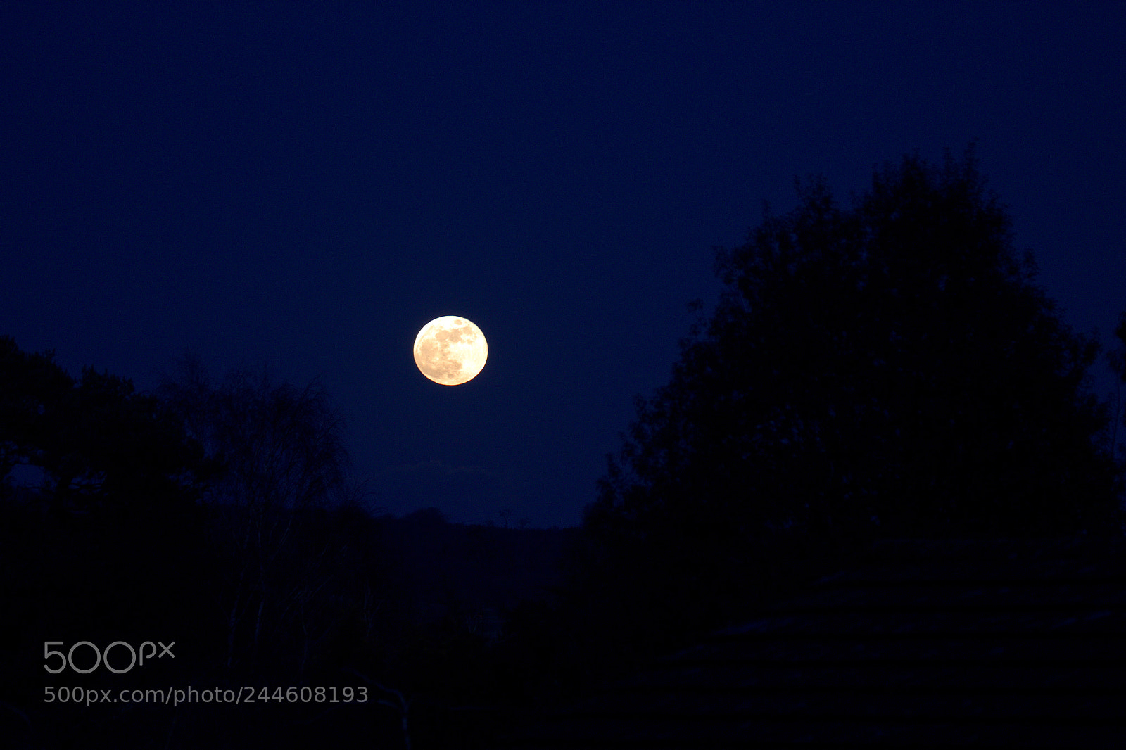 Canon EOS 1300D (EOS Rebel T6 / EOS Kiss X80) sample photo. Blood moonrise 3 photography