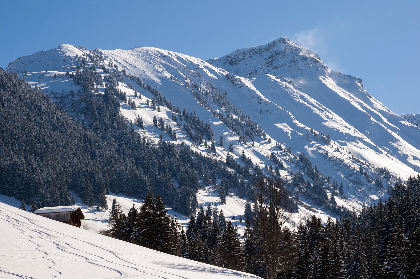 Nikon D90 sample photo. 02151: giferhorn photography