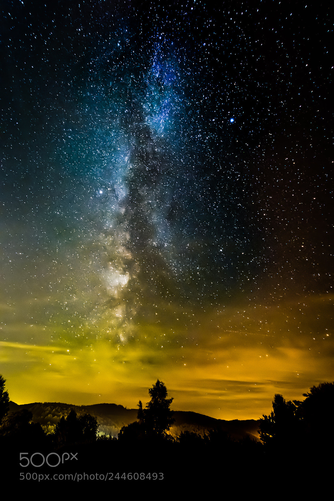 Nikon D5500 sample photo. Milky way above the photography