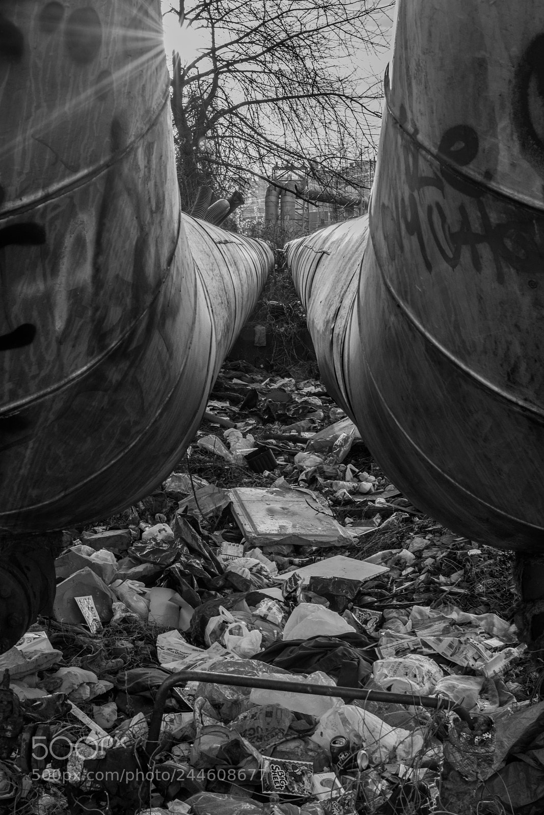 Nikon D610 sample photo. Dirty deeds photography