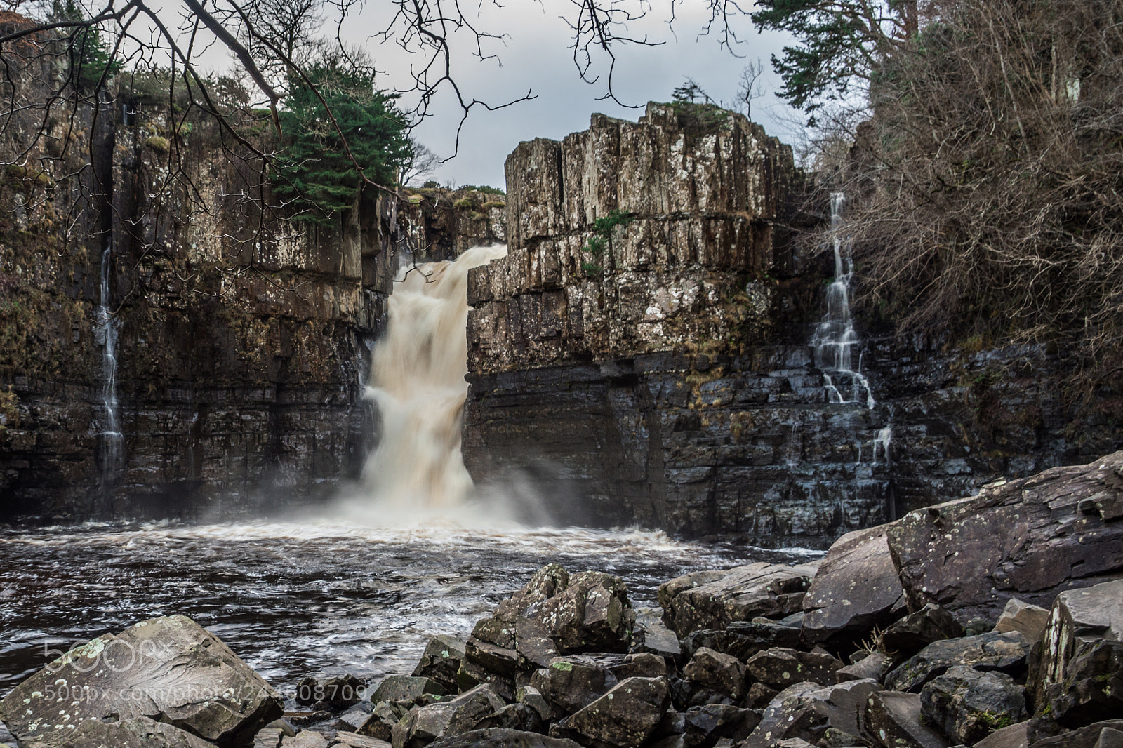 Sony SLT-A68 sample photo. High force photography
