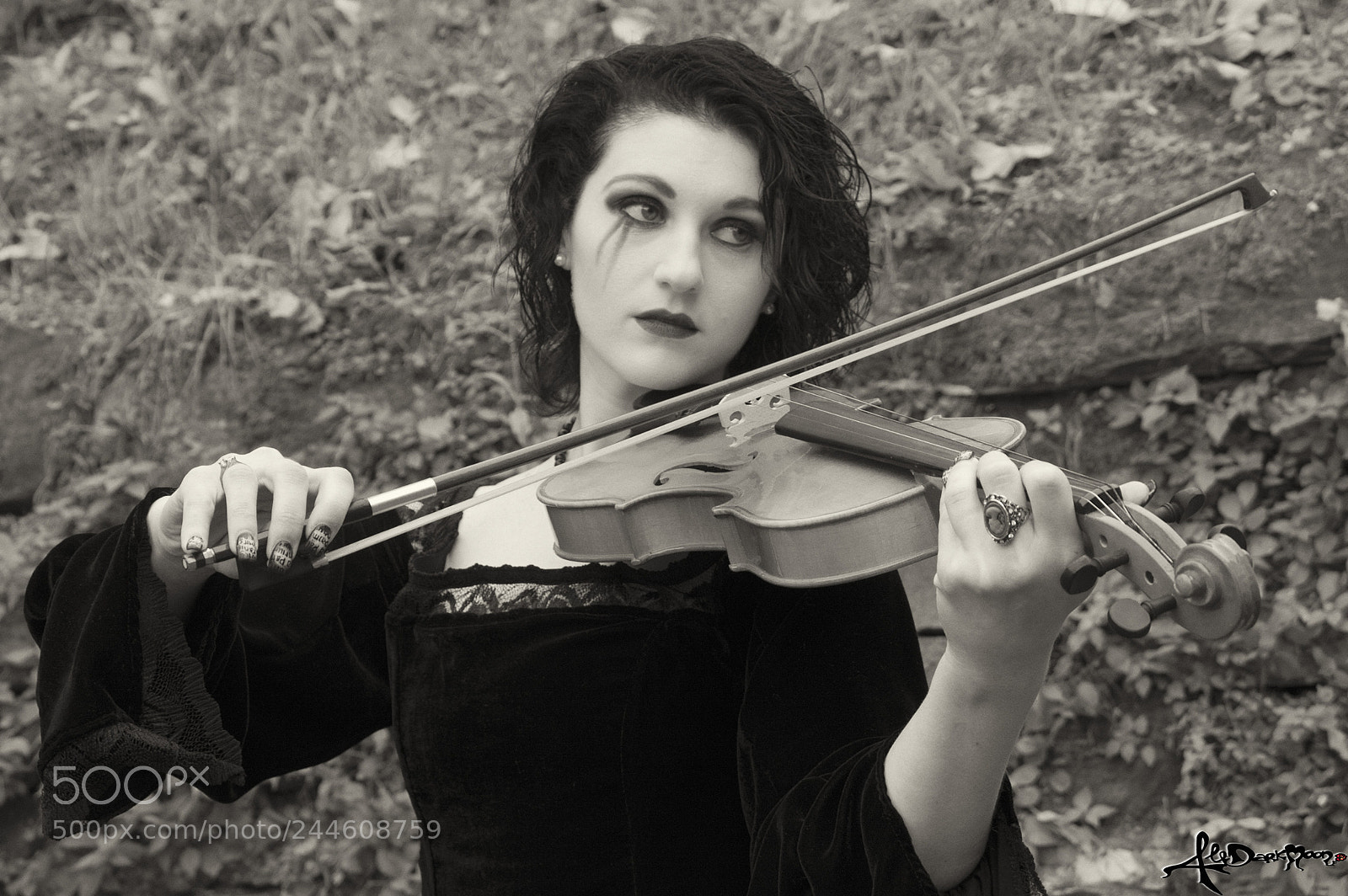 Nikon D3200 sample photo. Violinist photography