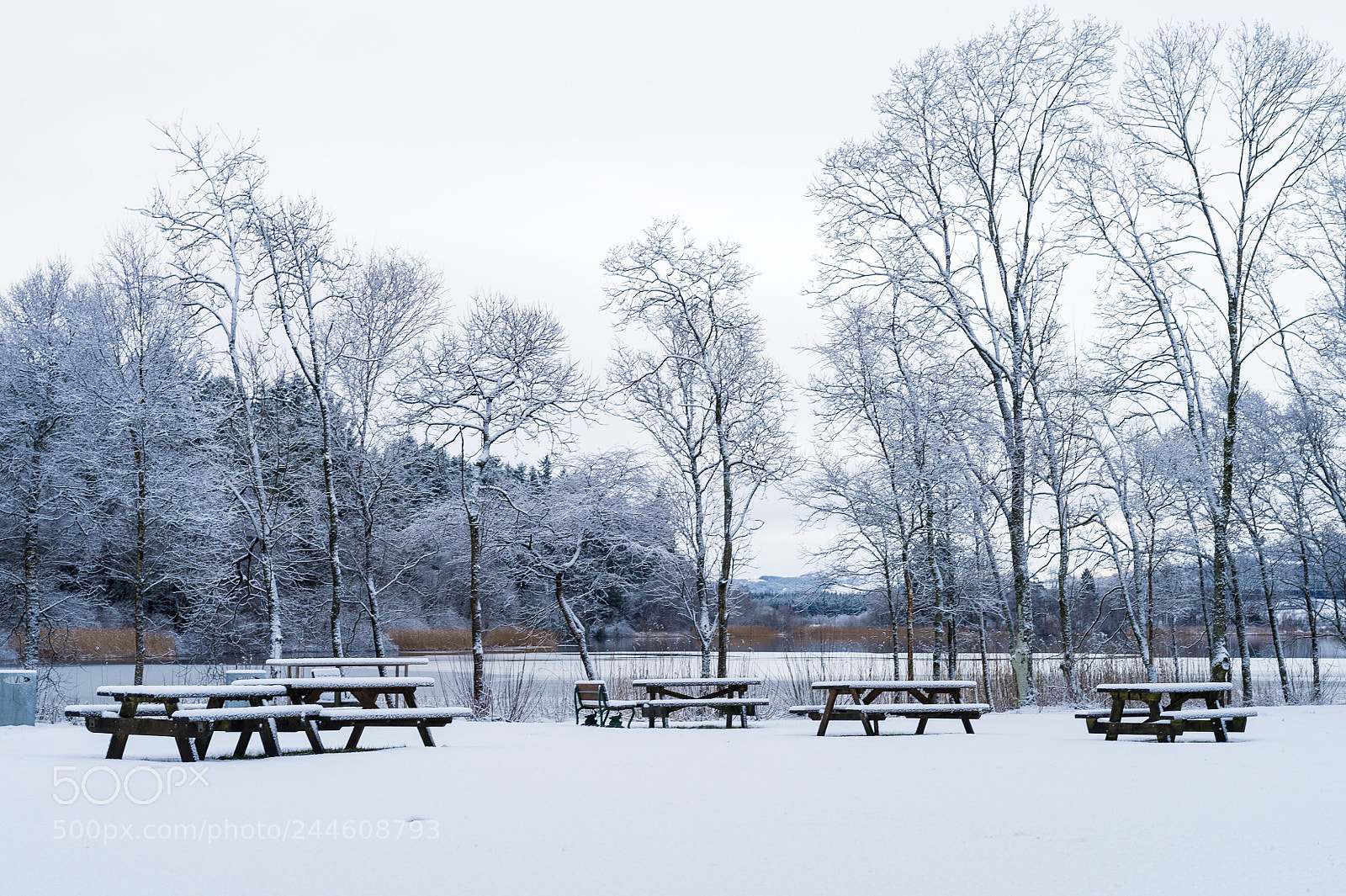 Nikon Df sample photo. Nk0_4892-1.jpg photography