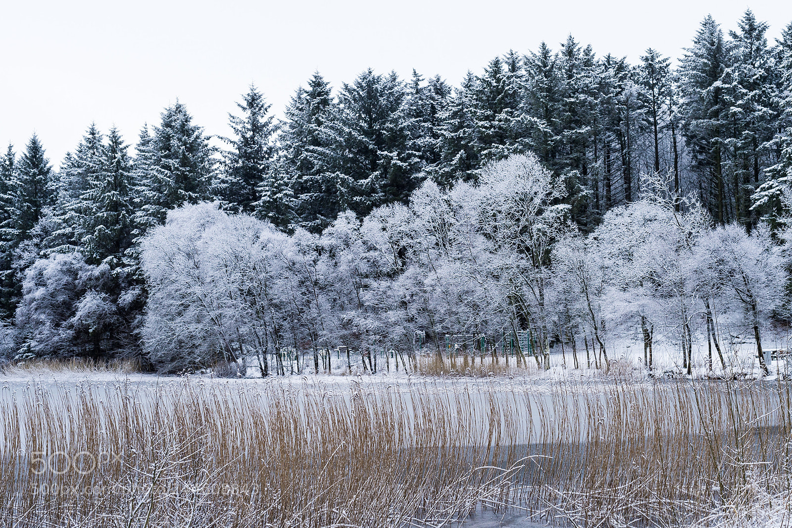 Nikon Df sample photo. Nk0_4898-1.jpg photography