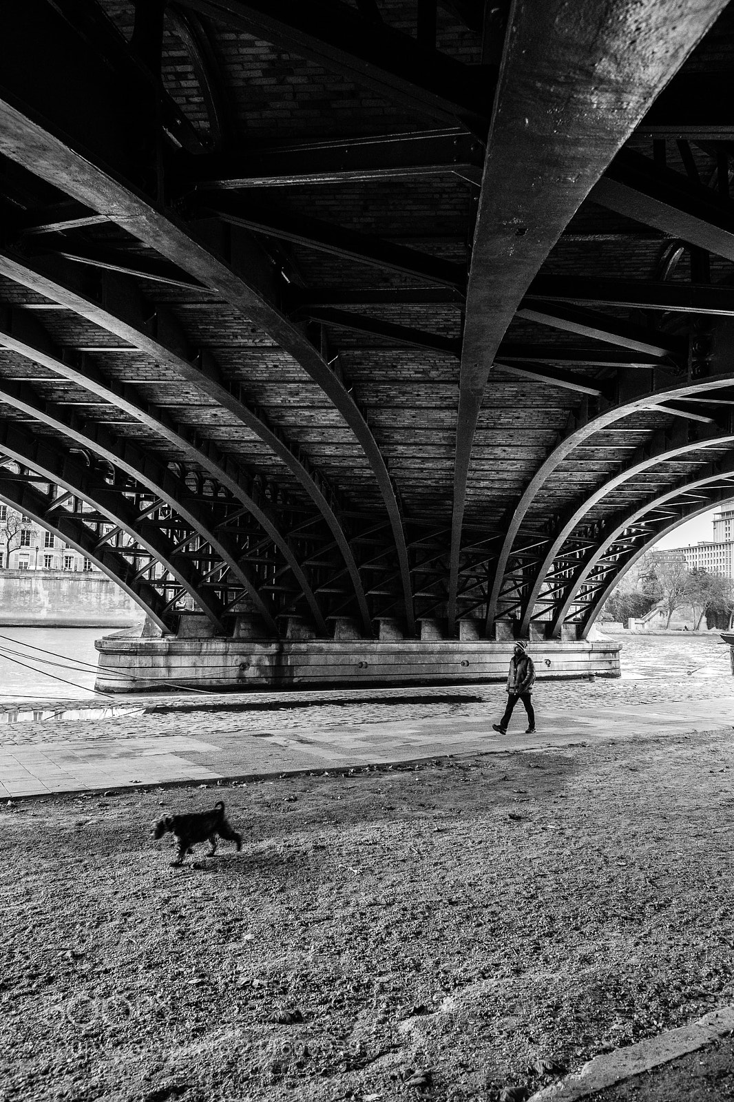 Fujifilm X-T2 sample photo. Pont de sully photography