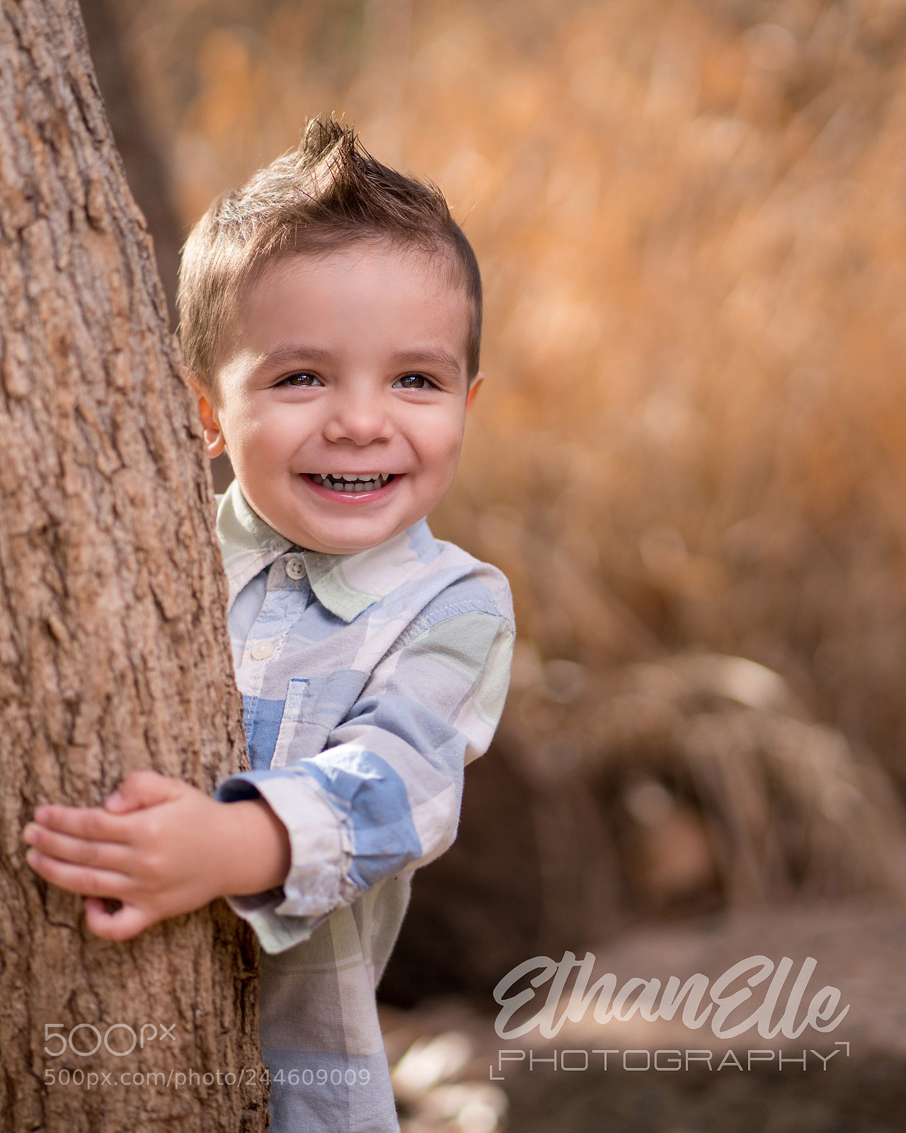 Sony a7R III sample photo. So this year i photography