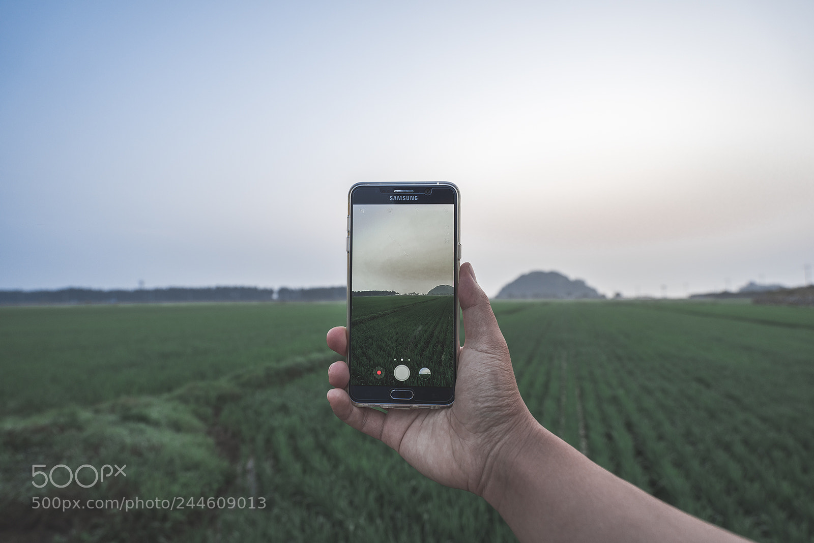 Sony a7R sample photo. Phone photography