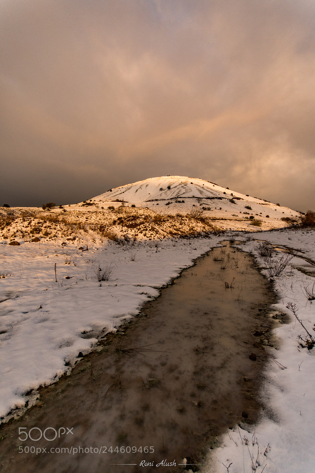 Nikon D500 sample photo. My little iceland... israel photography