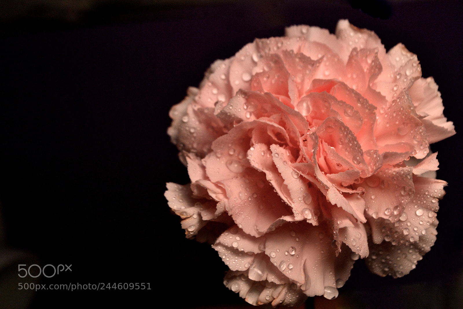 Nikon D3100 sample photo. Boom photography