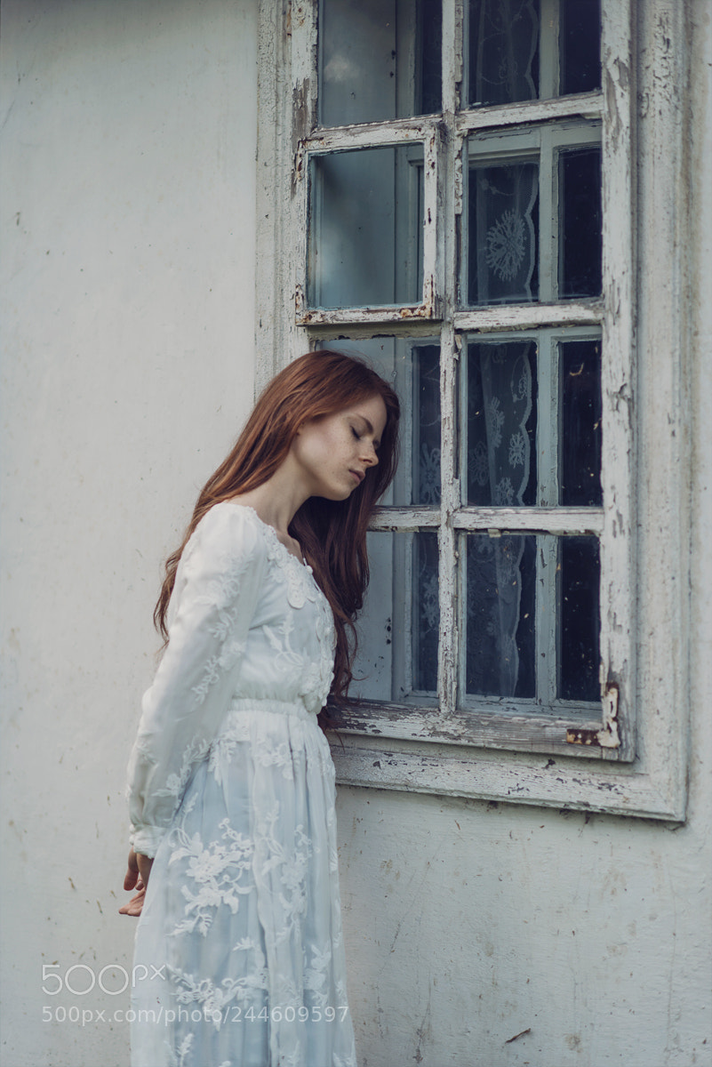 Nikon D800 sample photo. Window pane photography