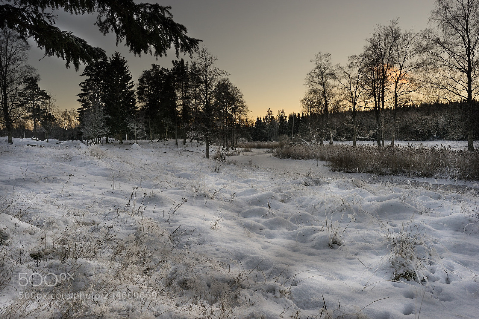 Sony a7R sample photo. Vinterflod photography