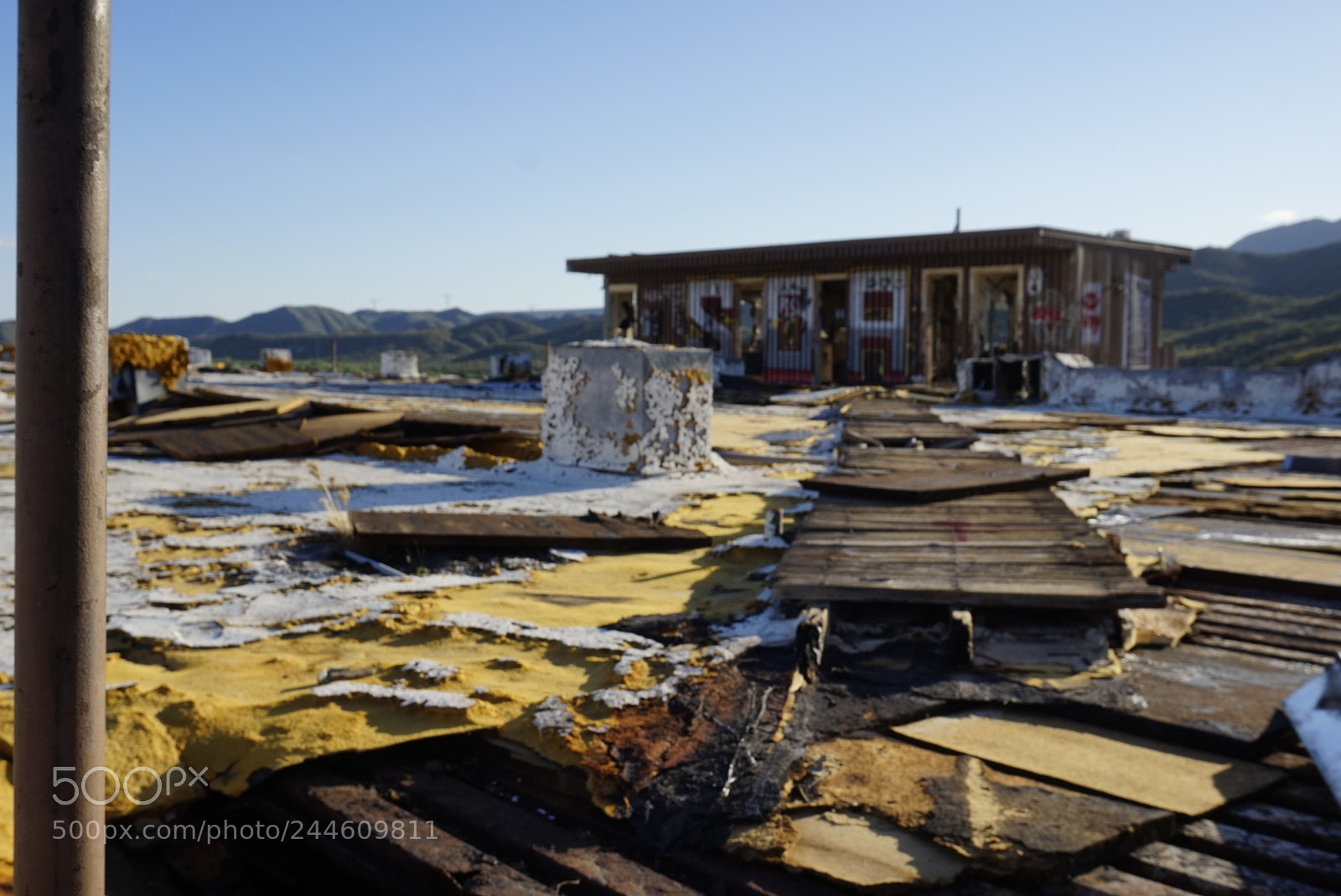 Sony Alpha a5000 (ILCE 5000) sample photo. Black canyon dog track photography