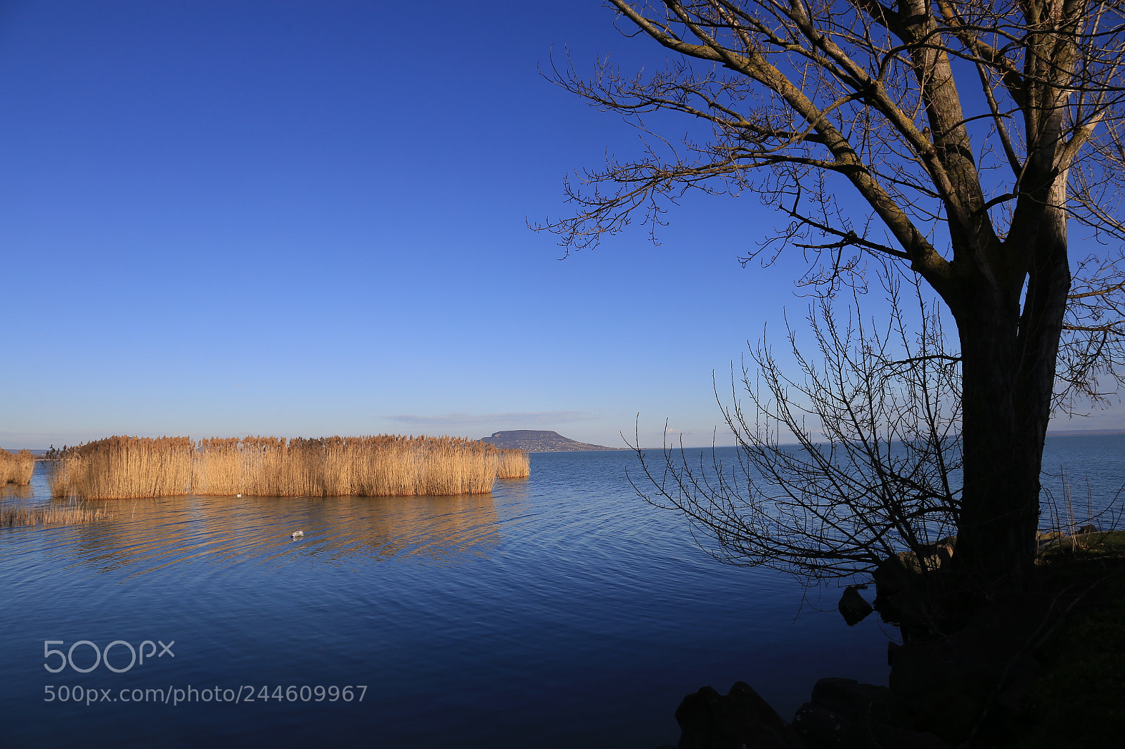 Canon EF 24-105mm F3.5-5.6 IS STM sample photo. Balaton photography