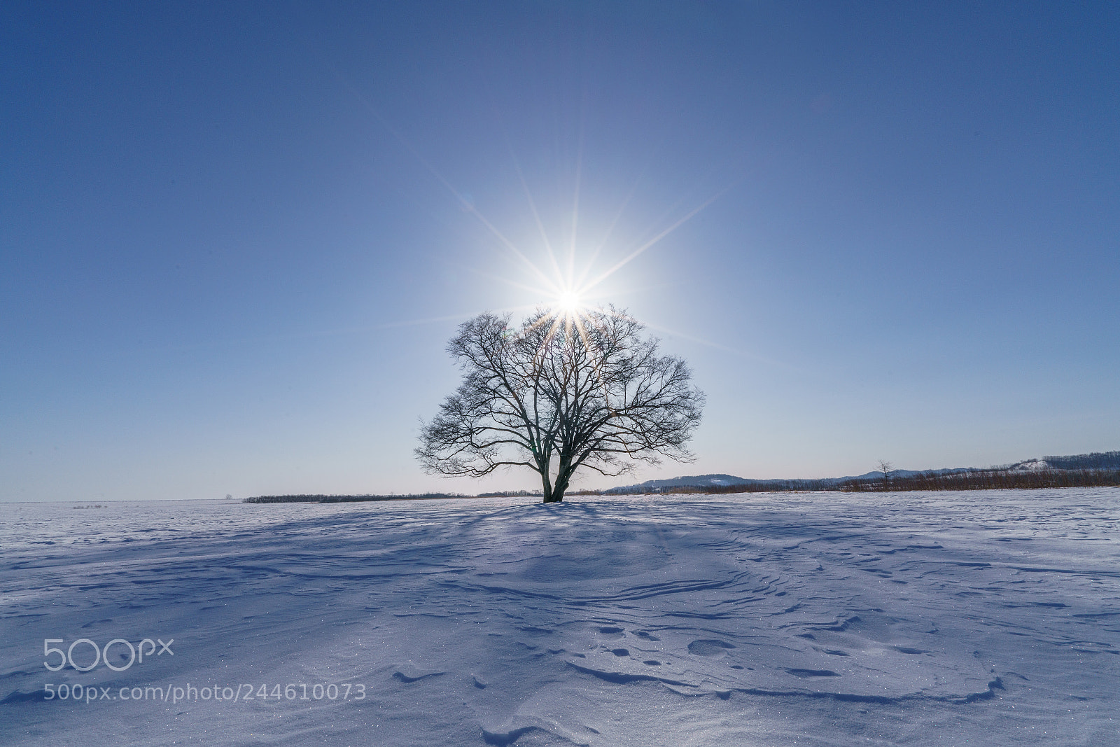 Sony a7R II sample photo. The sun and energetic photography