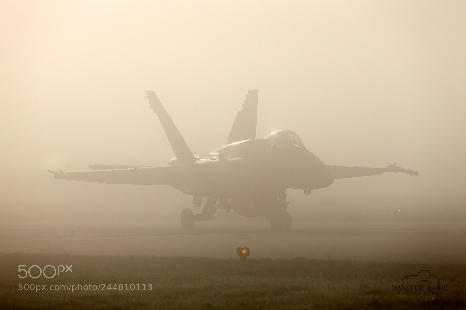 Canon EOS-1D X sample photo. Foggy hornet photography