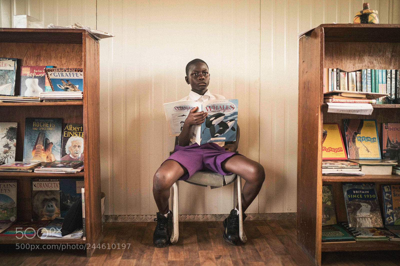 Sony a7R II sample photo. Educo photography