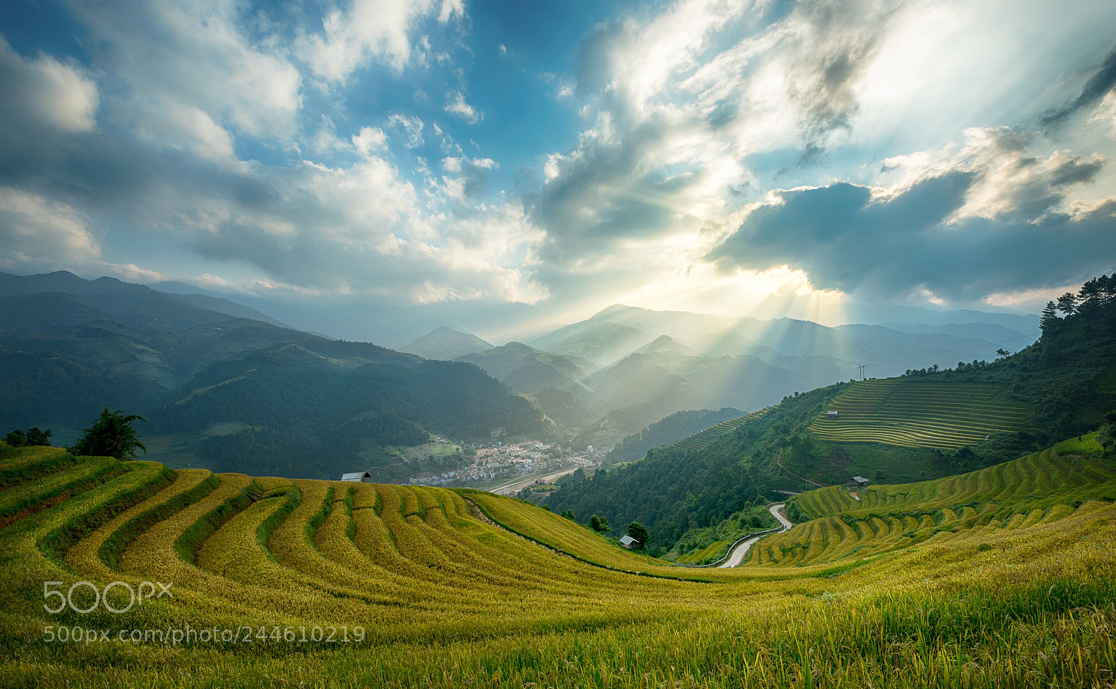Nikon D810 sample photo. Rice fields on terraced photography