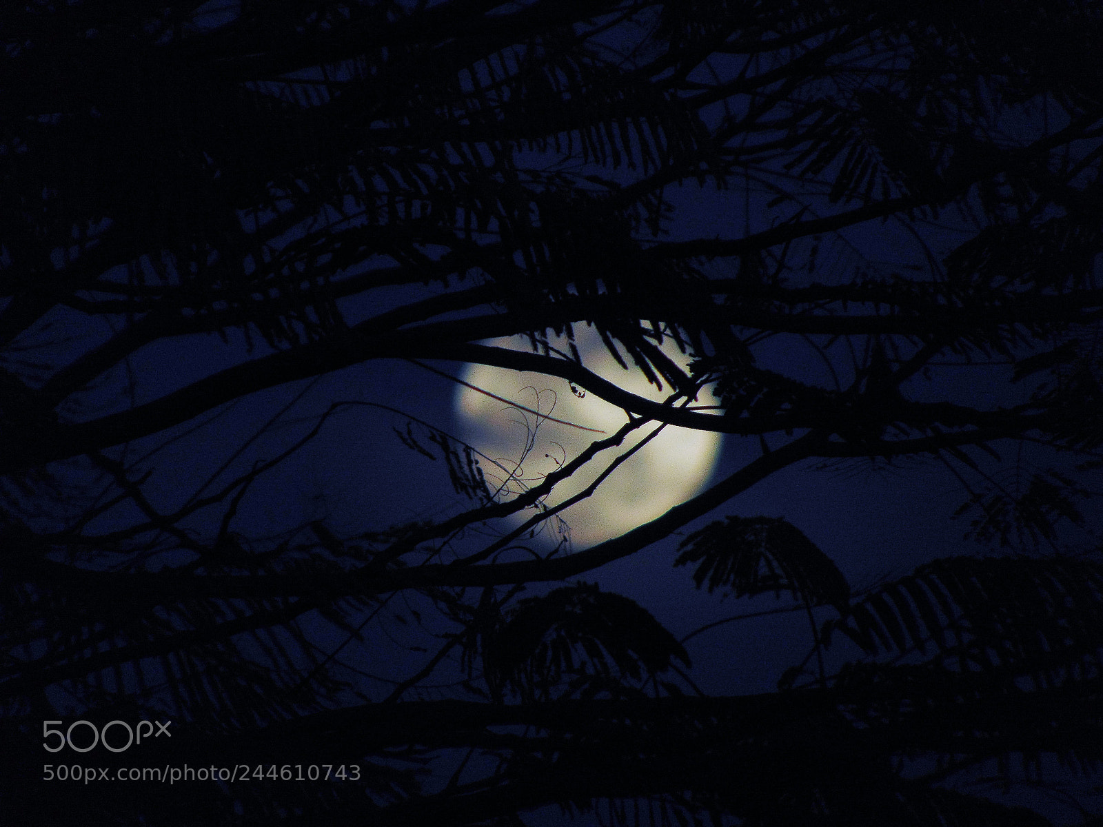 Sony Cyber-shot DSC-H300 sample photo. The moon photography