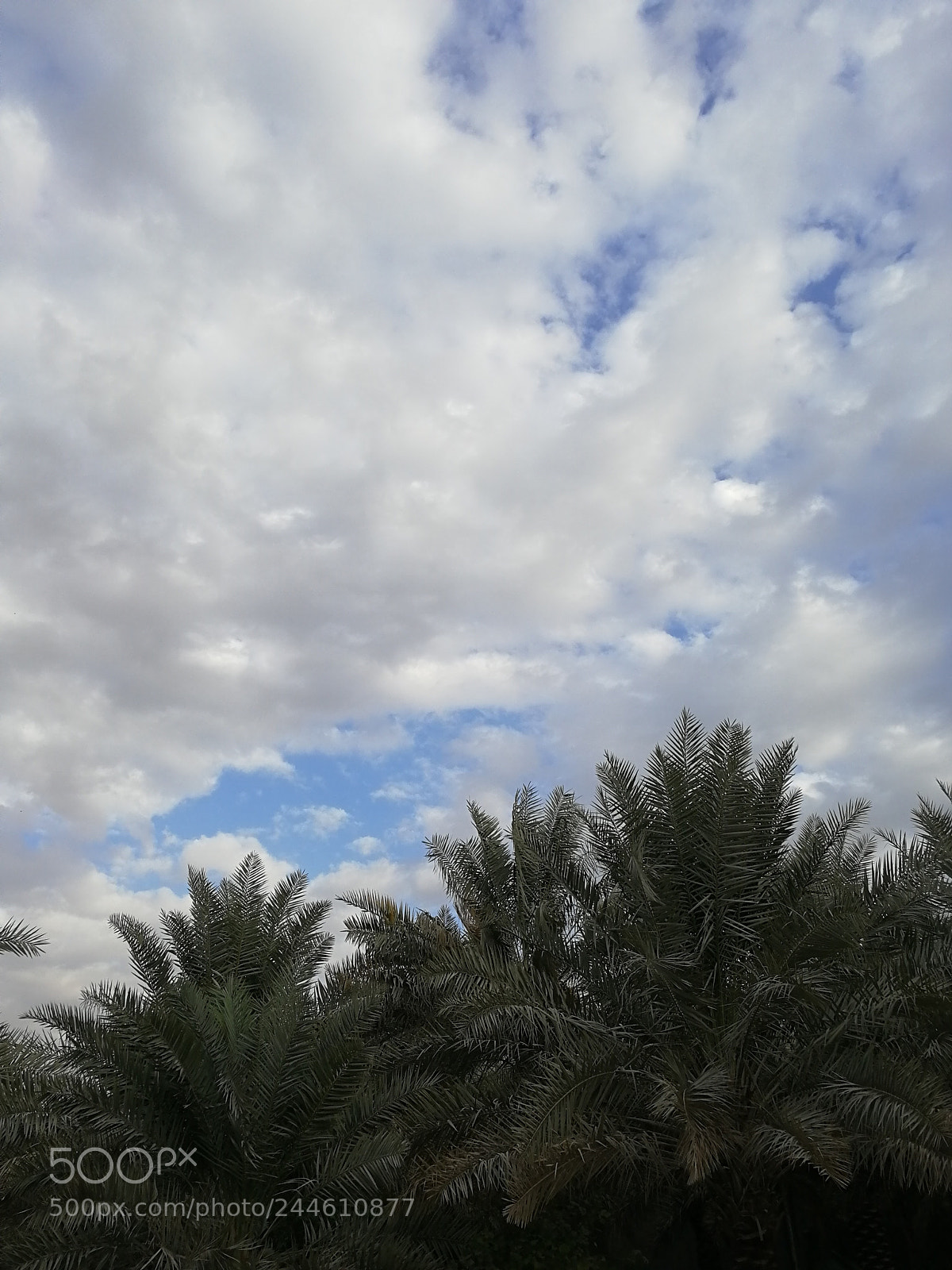 HUAWEI Honor 9 sample photo. Untitled photography