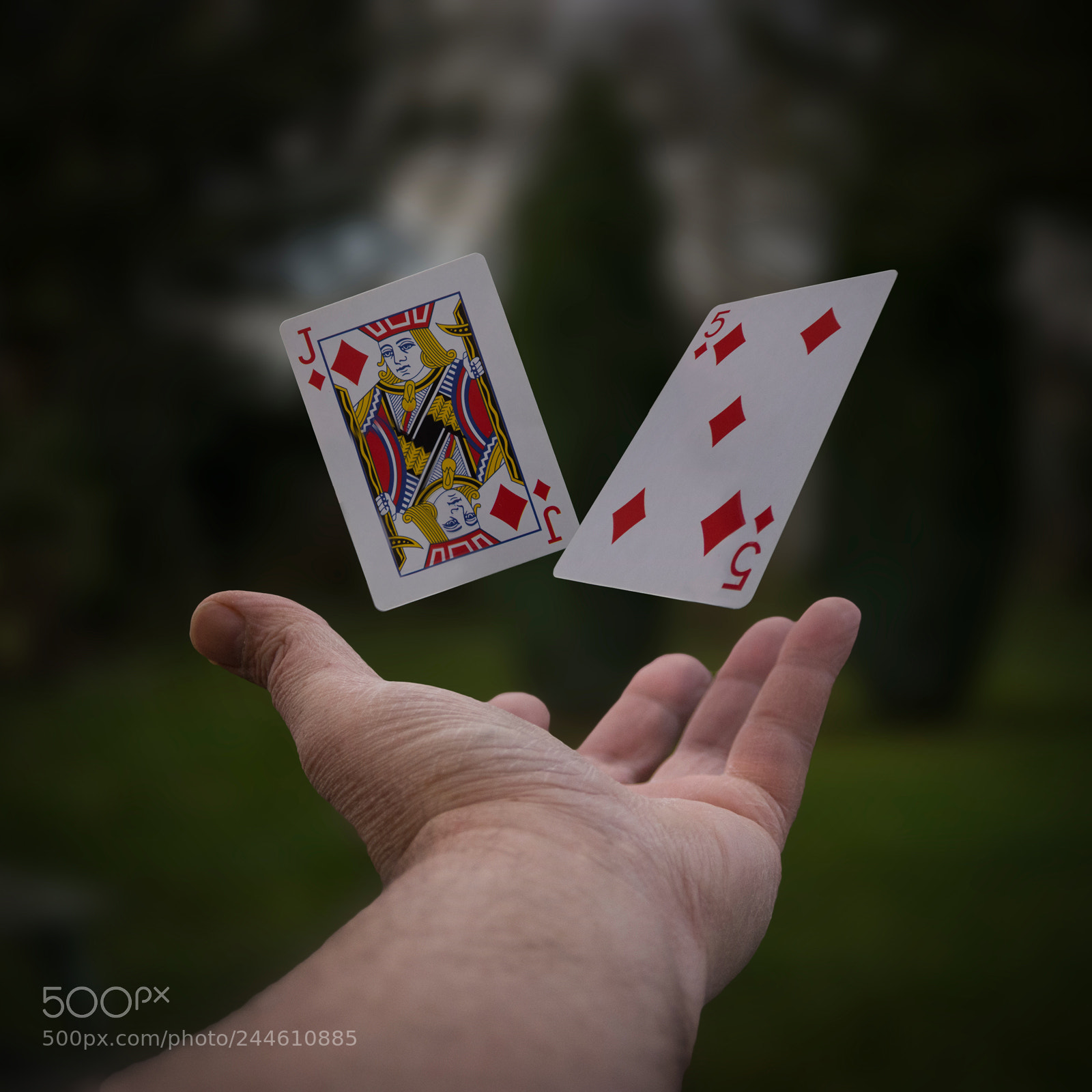 Nikon D7200 sample photo. Playing cards photography