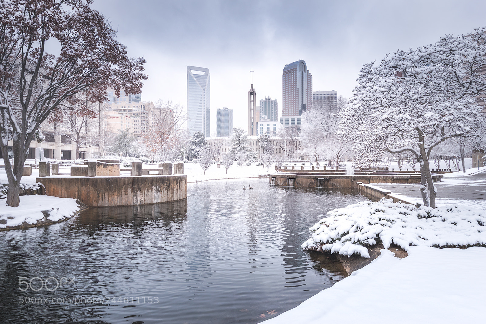 Nikon D5500 sample photo. Winter wonderland photography