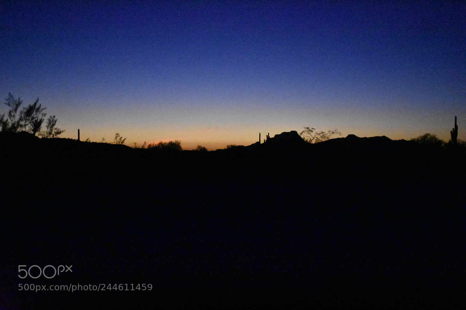 Nikon D3400 sample photo. Arizona dreaming about you photography