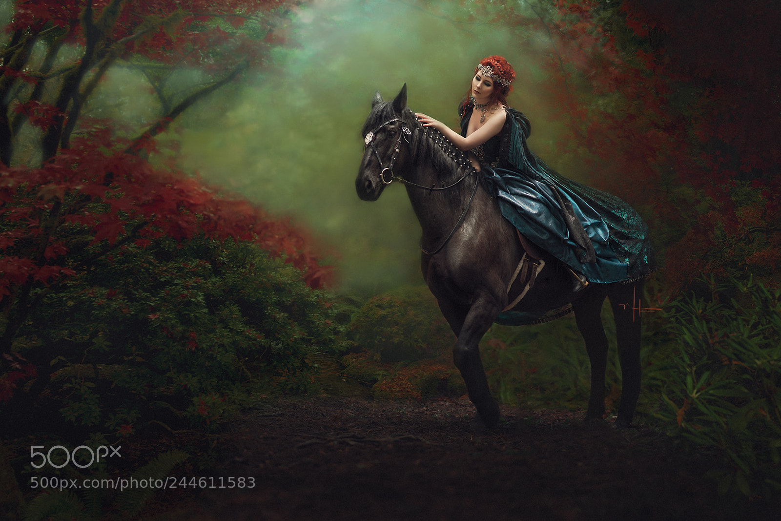 Sony a7R III sample photo. Lost in a fantasy photography