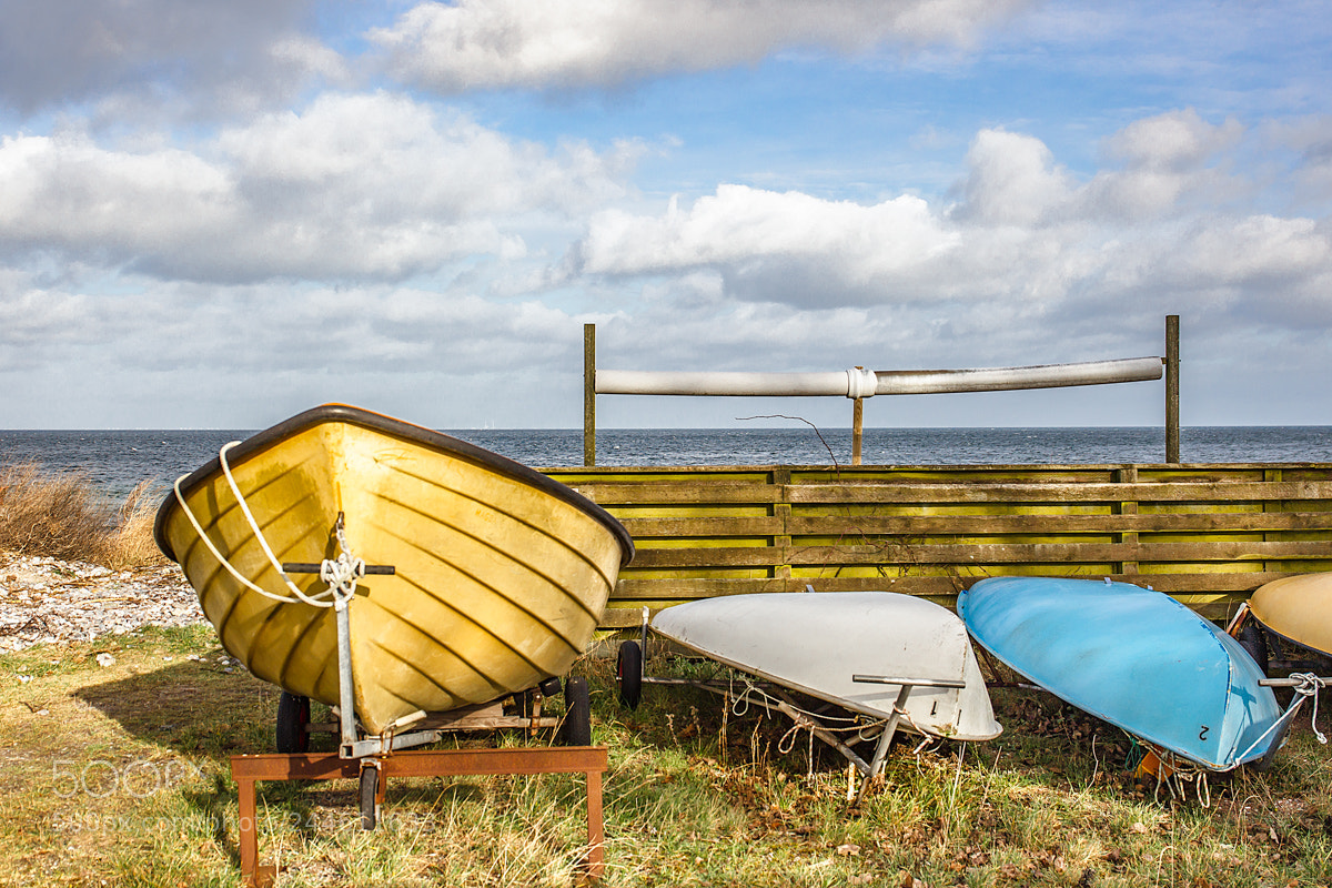 Canon EOS-1D Mark IV sample photo. Sun, blue sky and photography