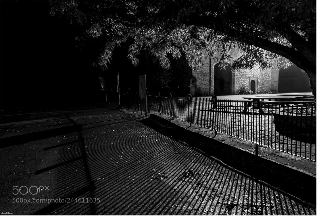 Canon EOS 60D sample photo. Casting shadows photography
