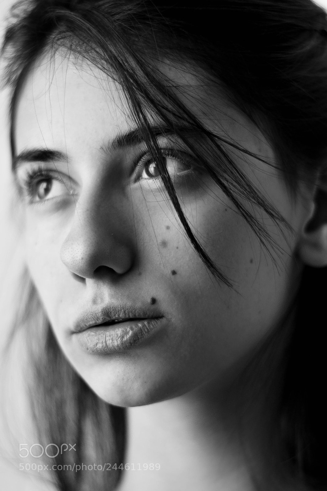 Nikon D3100 sample photo. Untitled photography
