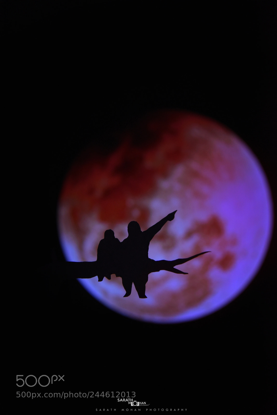 Nikon D810 sample photo. Red moon story photography