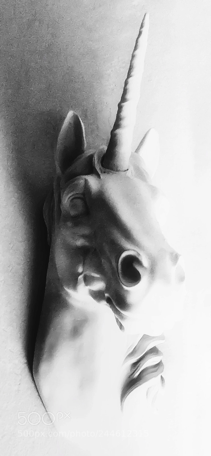 Apple iPhone 6s sample photo. Untitled photography