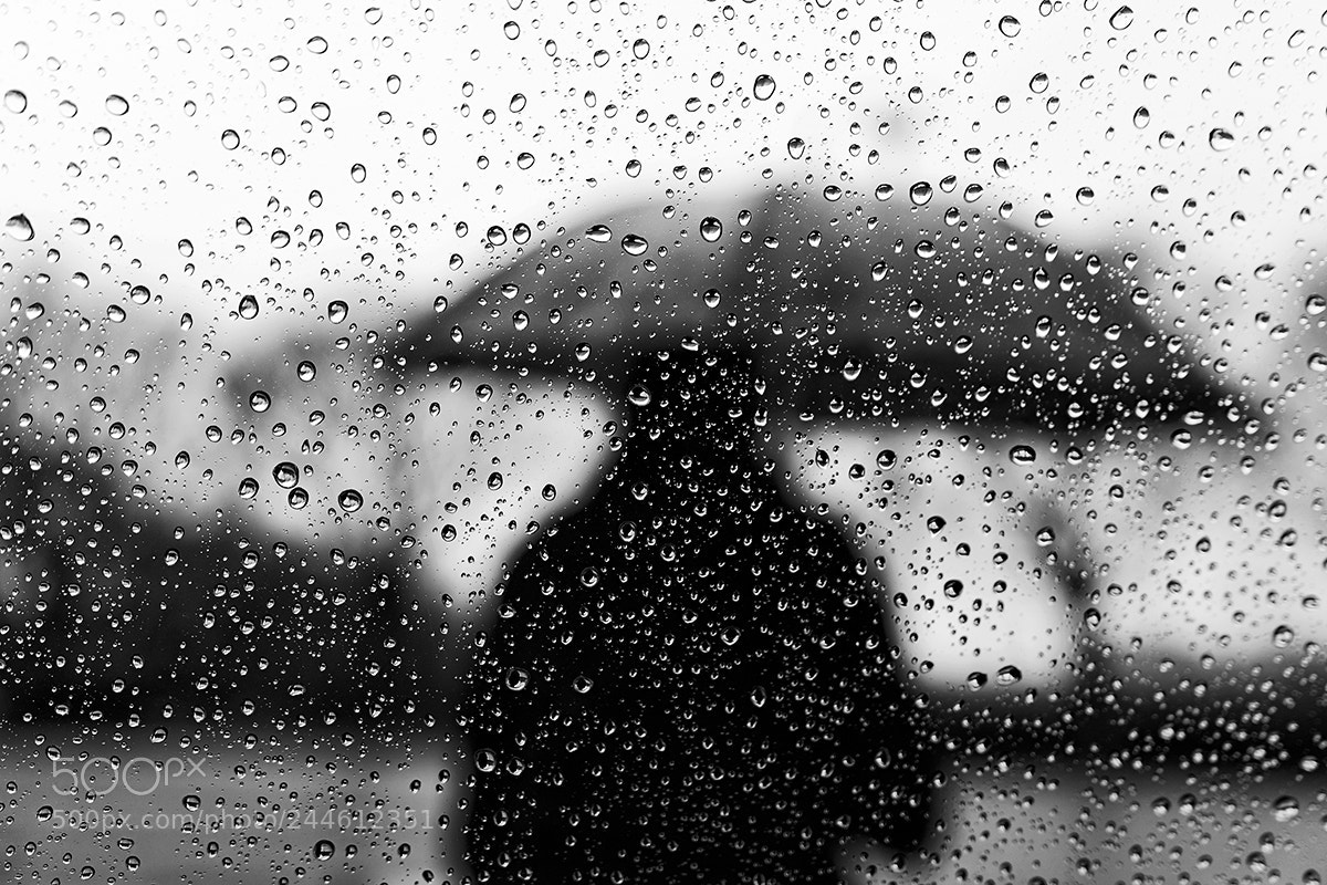 Nikon D7200 sample photo. A rainy day photography