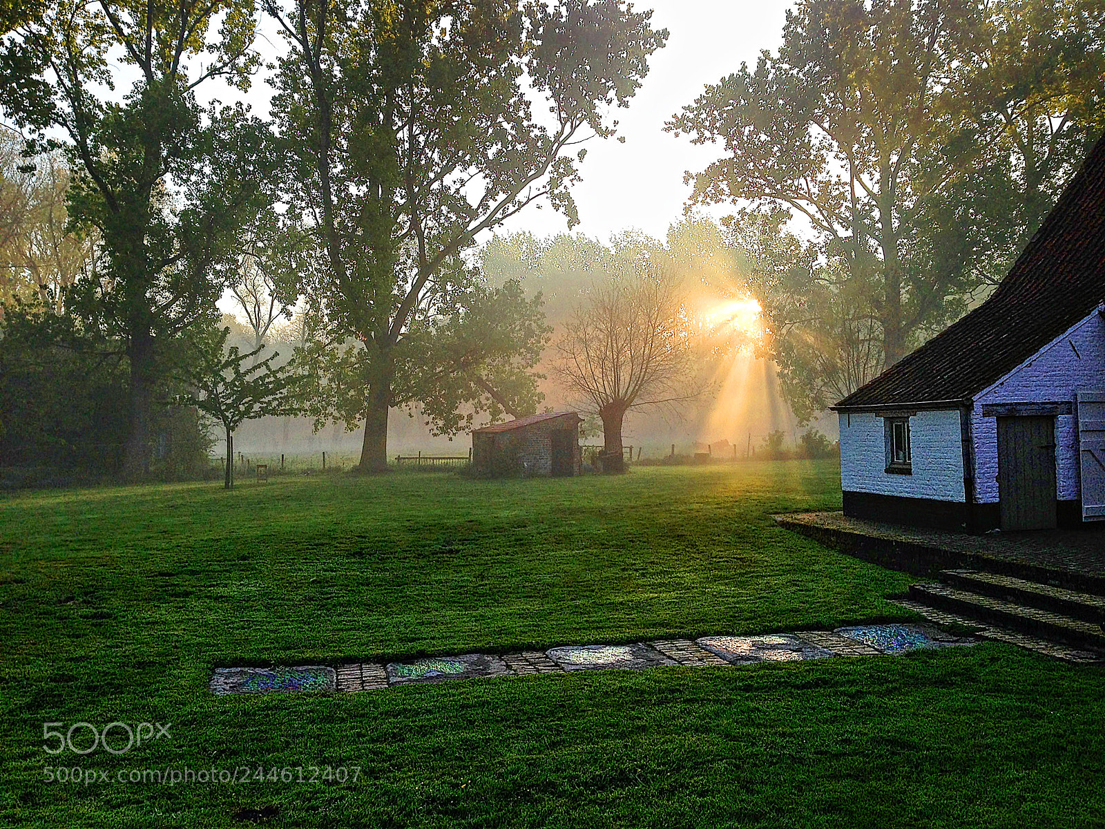 Apple iPhone 5 sample photo. Morning light photography