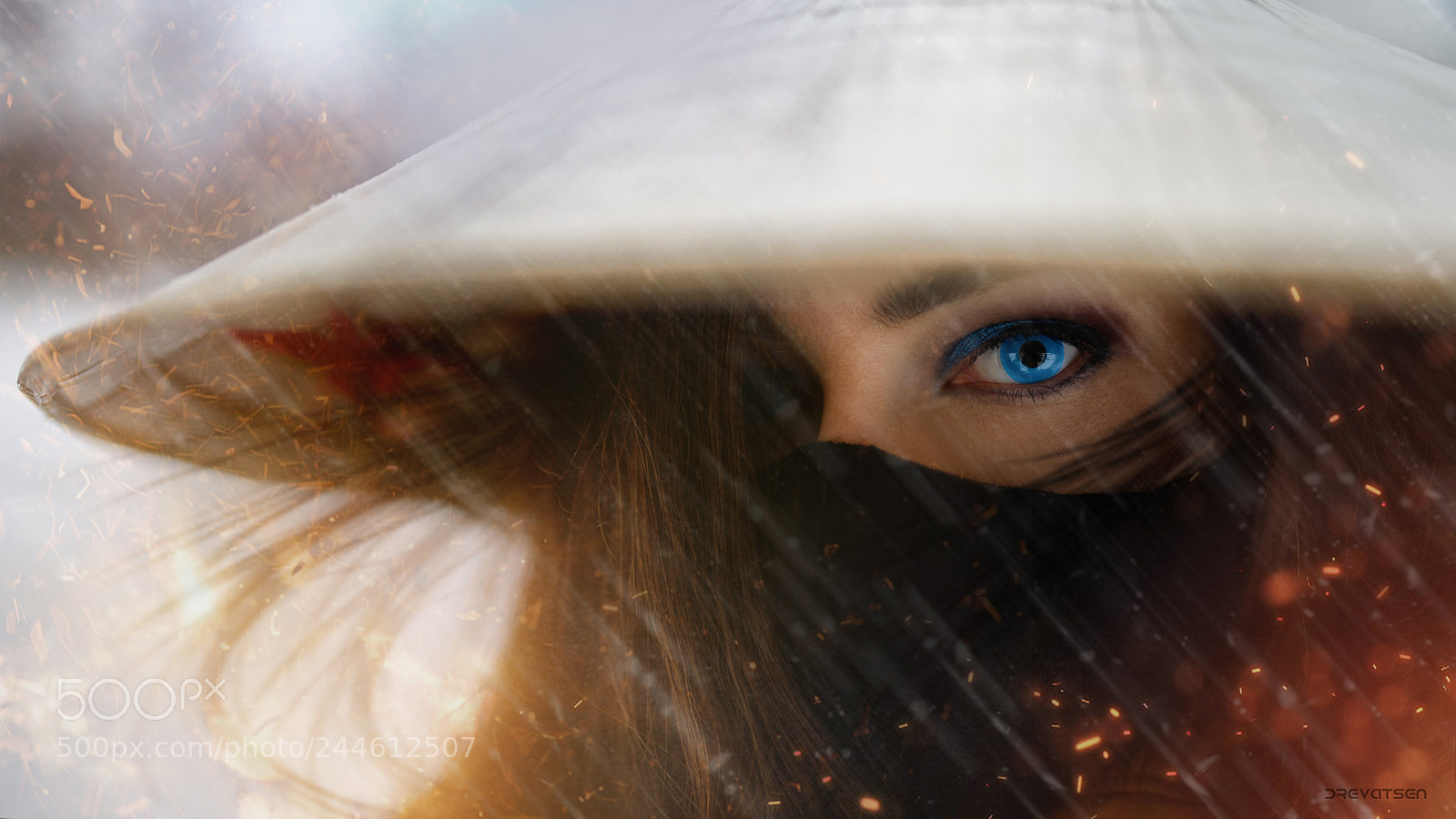 Nikon D810 sample photo. Snow samurai photography