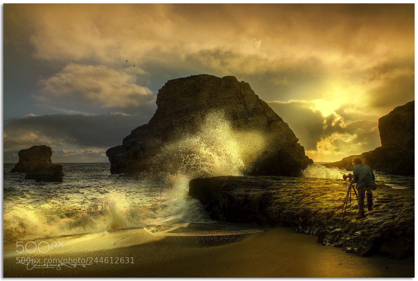 Nikon D4 sample photo. Shark fin cove, ca photography