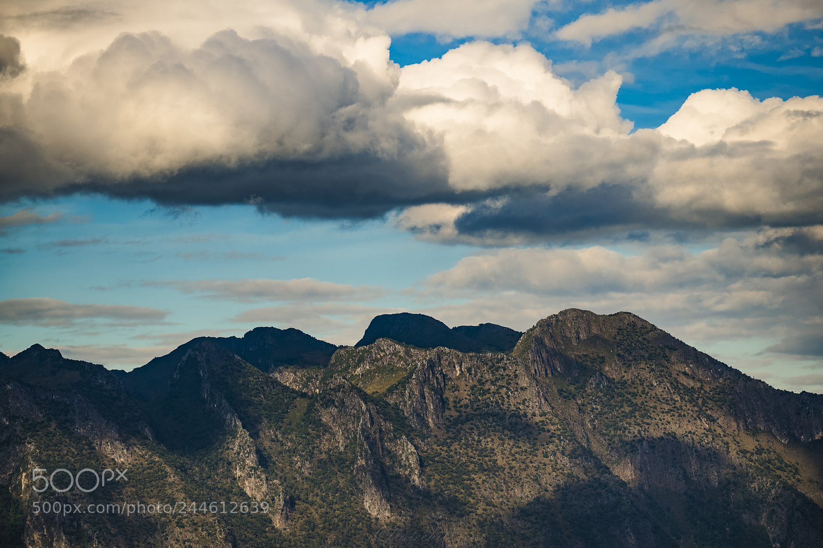 Nikon D850 sample photo. Near the sky photography