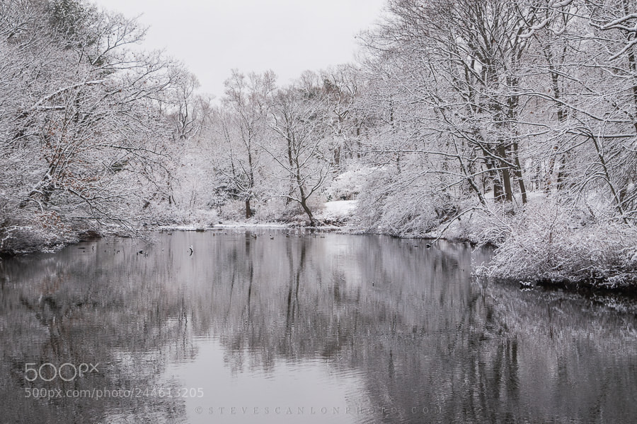 Nikon D5500 sample photo. Schwenker's pond photography