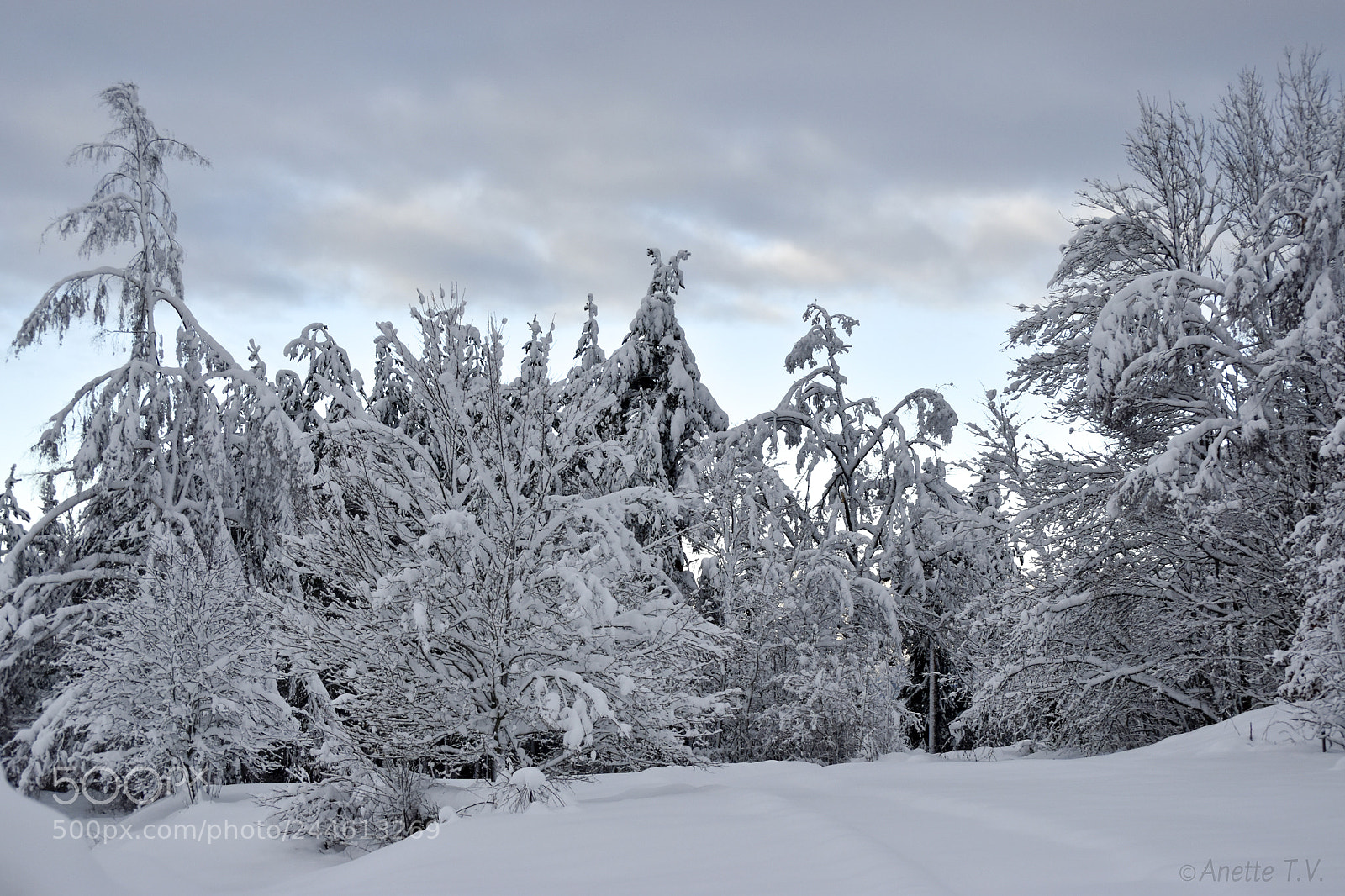 Nikon D5500 sample photo. Snow .. photography