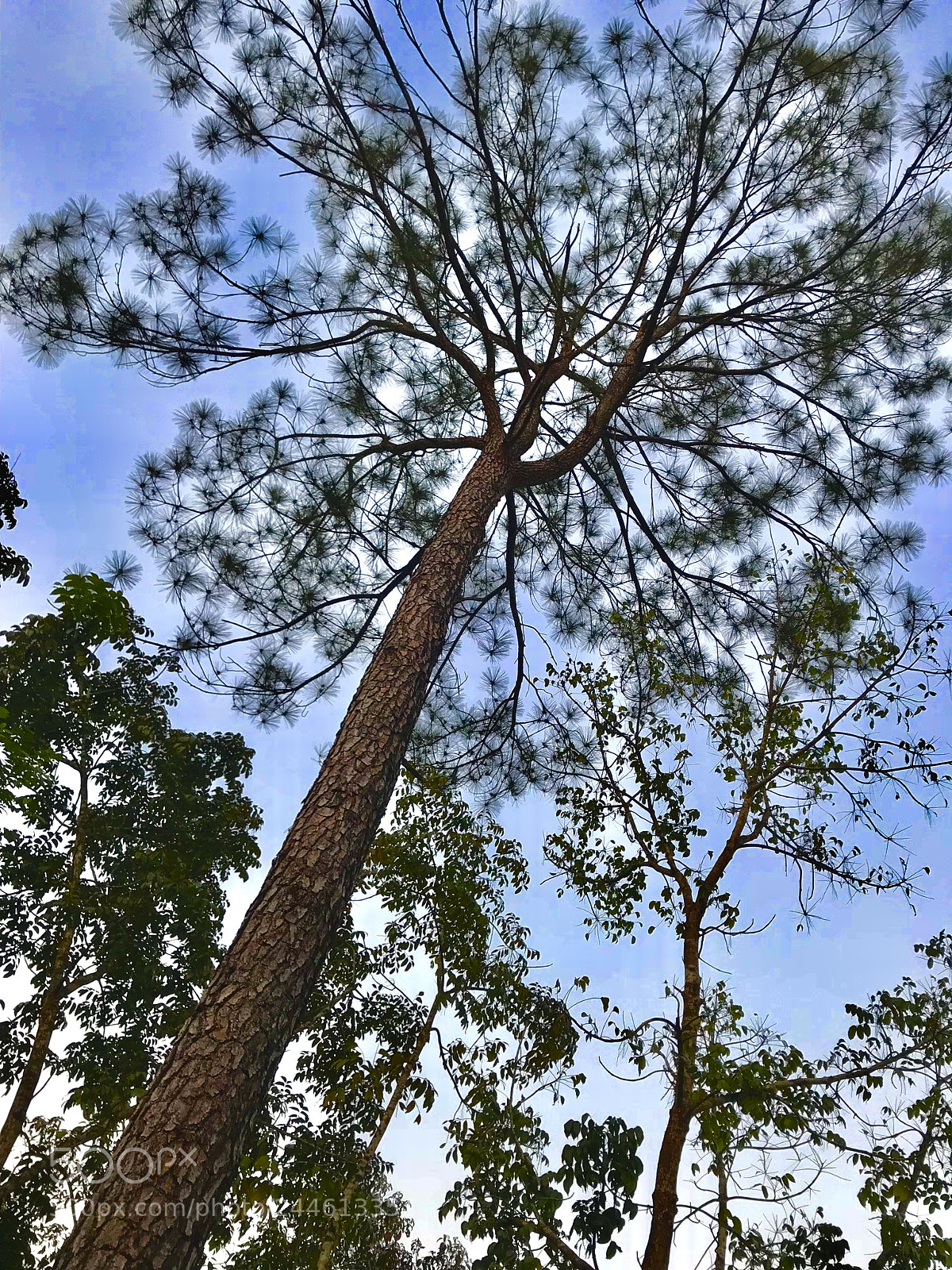 Apple iPhone 7 Plus sample photo. Untitled photography