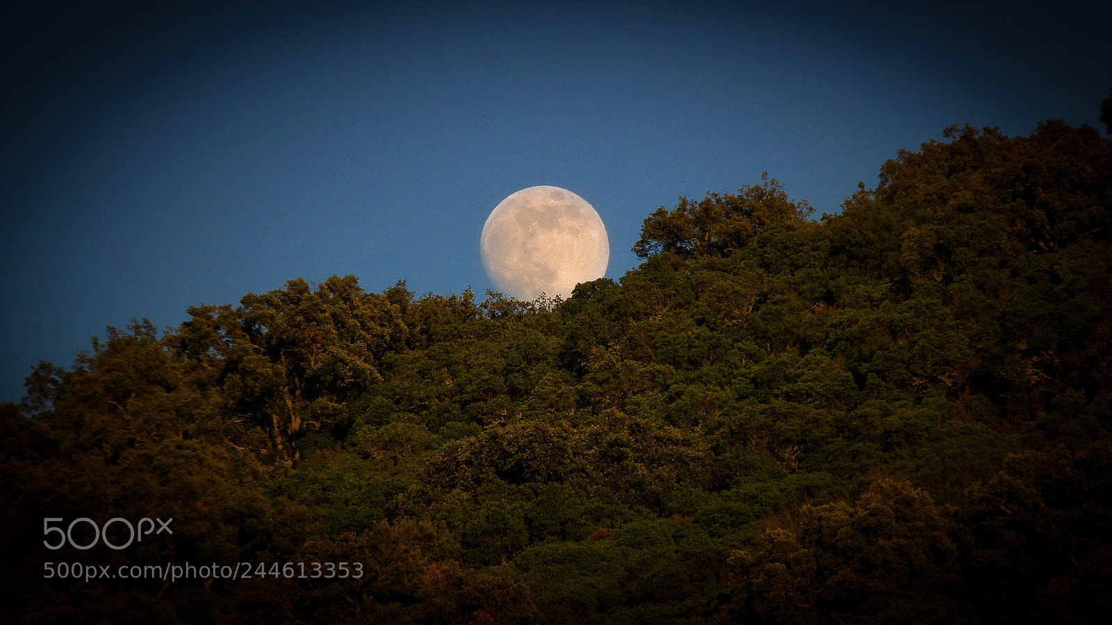 Panasonic Lumix DMC-FZ28 sample photo. Moonrise in the extremadura photography